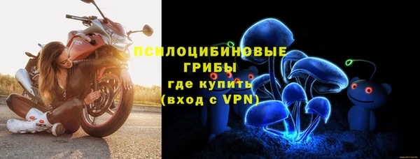 ПСИЛОЦИБИНОВЫЕ ГРИБЫ Алексин