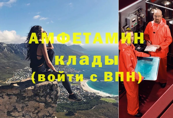 ПСИЛОЦИБИНОВЫЕ ГРИБЫ Алексин