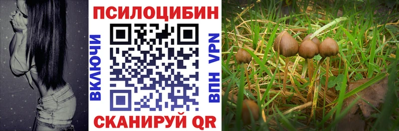 маркетплейс как зайти  Поронайск  Псилоцибиновые грибы Magic Shrooms 